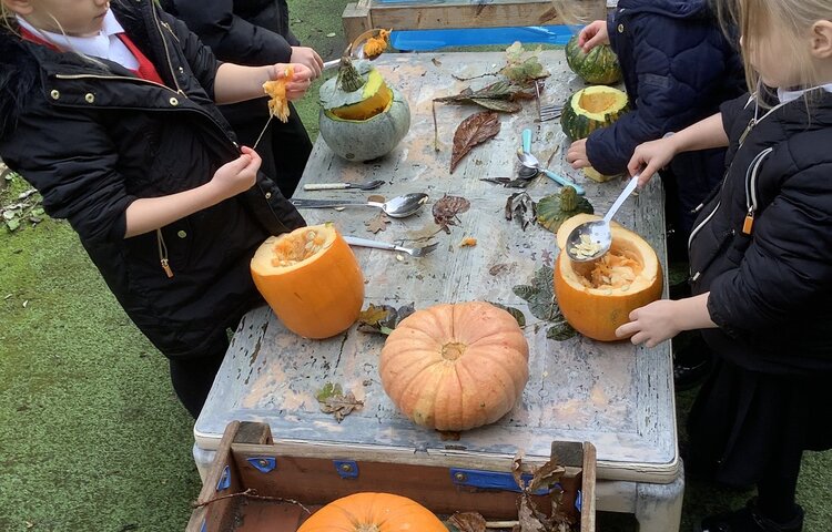 Image of Exploring pumpkins! 
