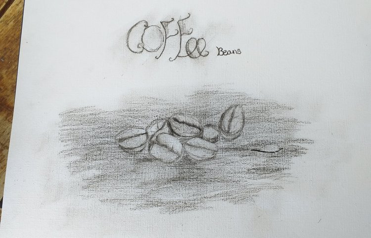 Image of Tansy's Coffee Beans Sketch