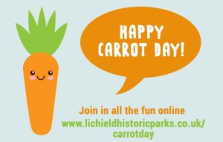 Image of Carrot day fun!