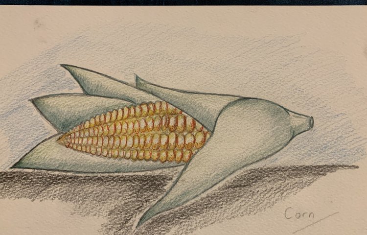 Image of Trade Art Lesson Two- Corn Challenge