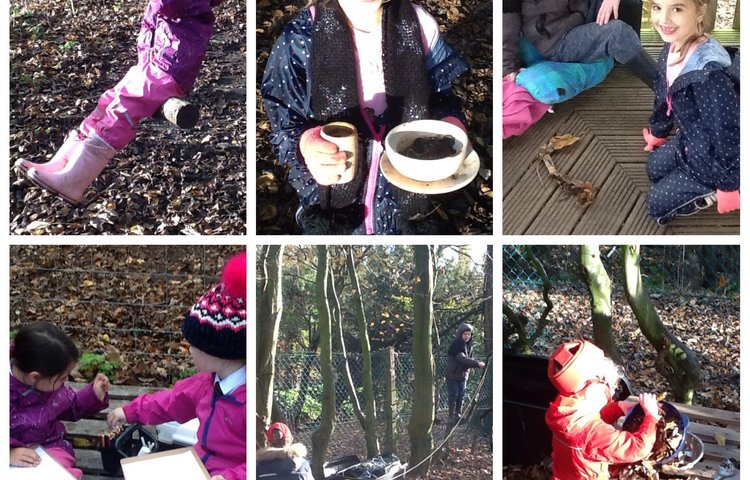 Image of Forest school