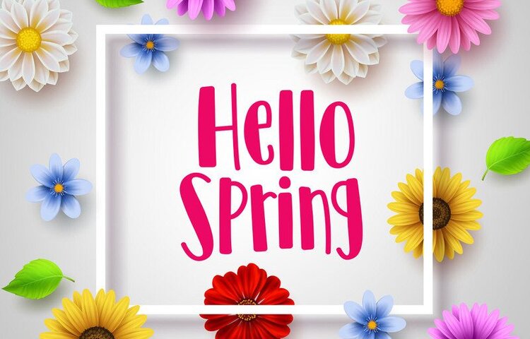Image of Next half term- Spring has Sprung!