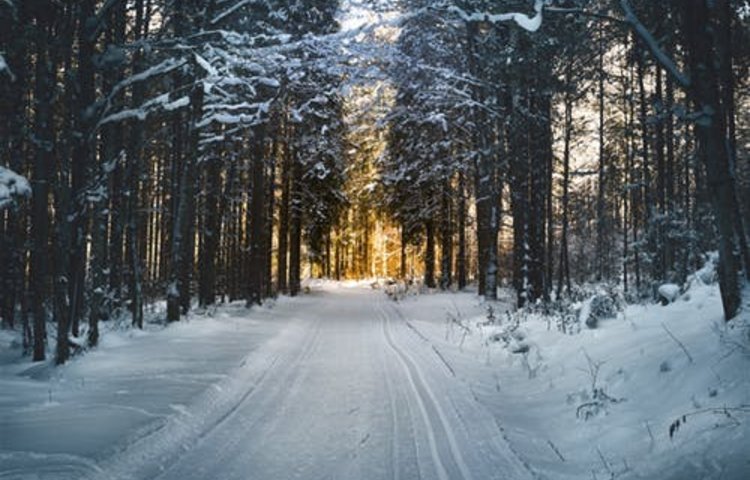 Image of The week commencing Monday 13th January we are learning about winter!