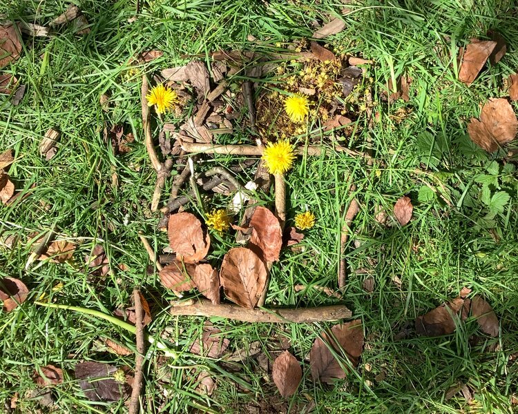 Image of Andy Goldsworthy Inspired Artwork