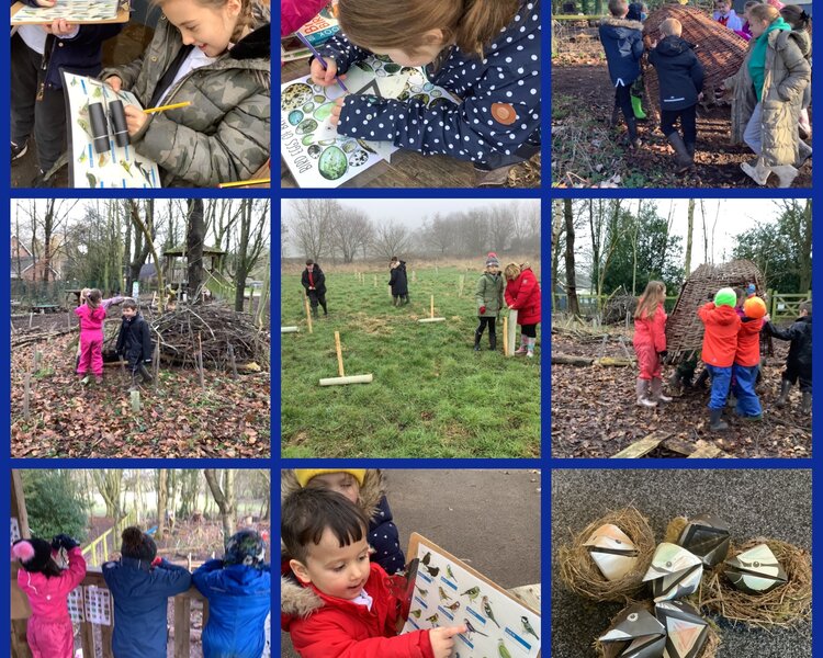 Image of Forest School 2022/2023 