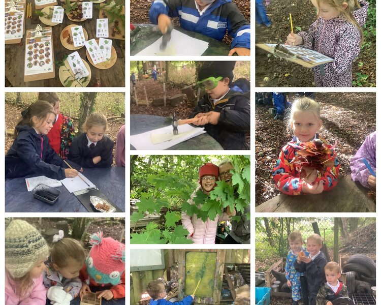 Image of Outdoor learning Autumn 1