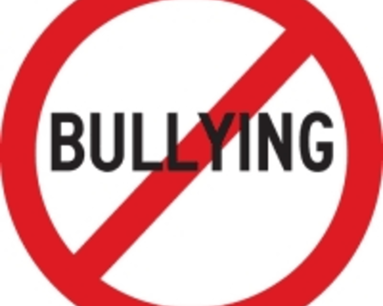 Image of Anti-Bullying Assembly coming soon...