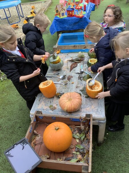 Image of Exploring pumpkins! 