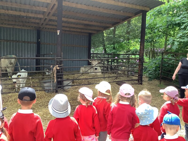 Image of Class one had a super time at the farm!