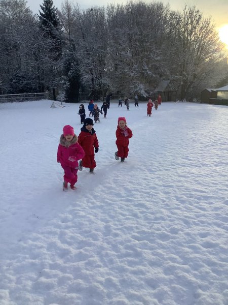 Image of Class one exploring the snow!