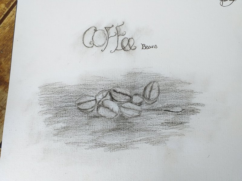 Image of Tansy's Coffee Beans Sketch