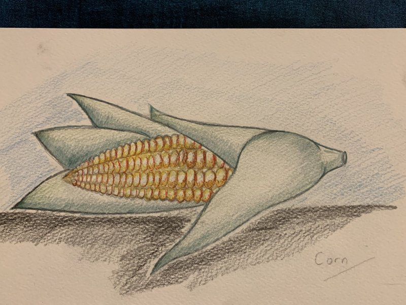Image of Trade Art Lesson Two- Corn Challenge