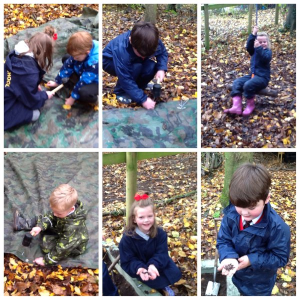 Image of Forest School